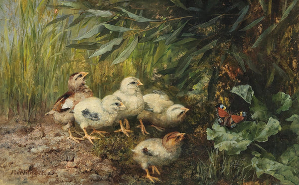 Chicks and a Butterfly