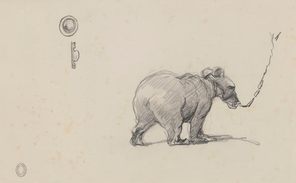 Bear
