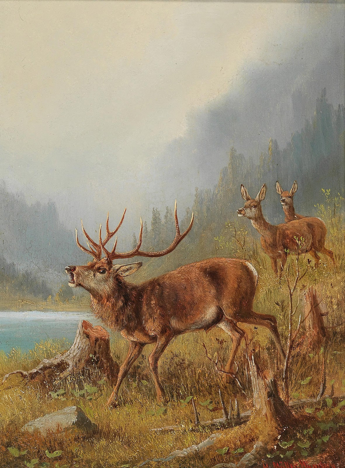 A Bellowing Stag