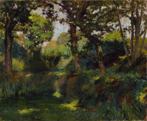 Wooded Landscape