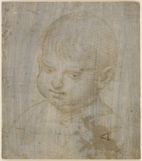A childs head ca 1504 1506