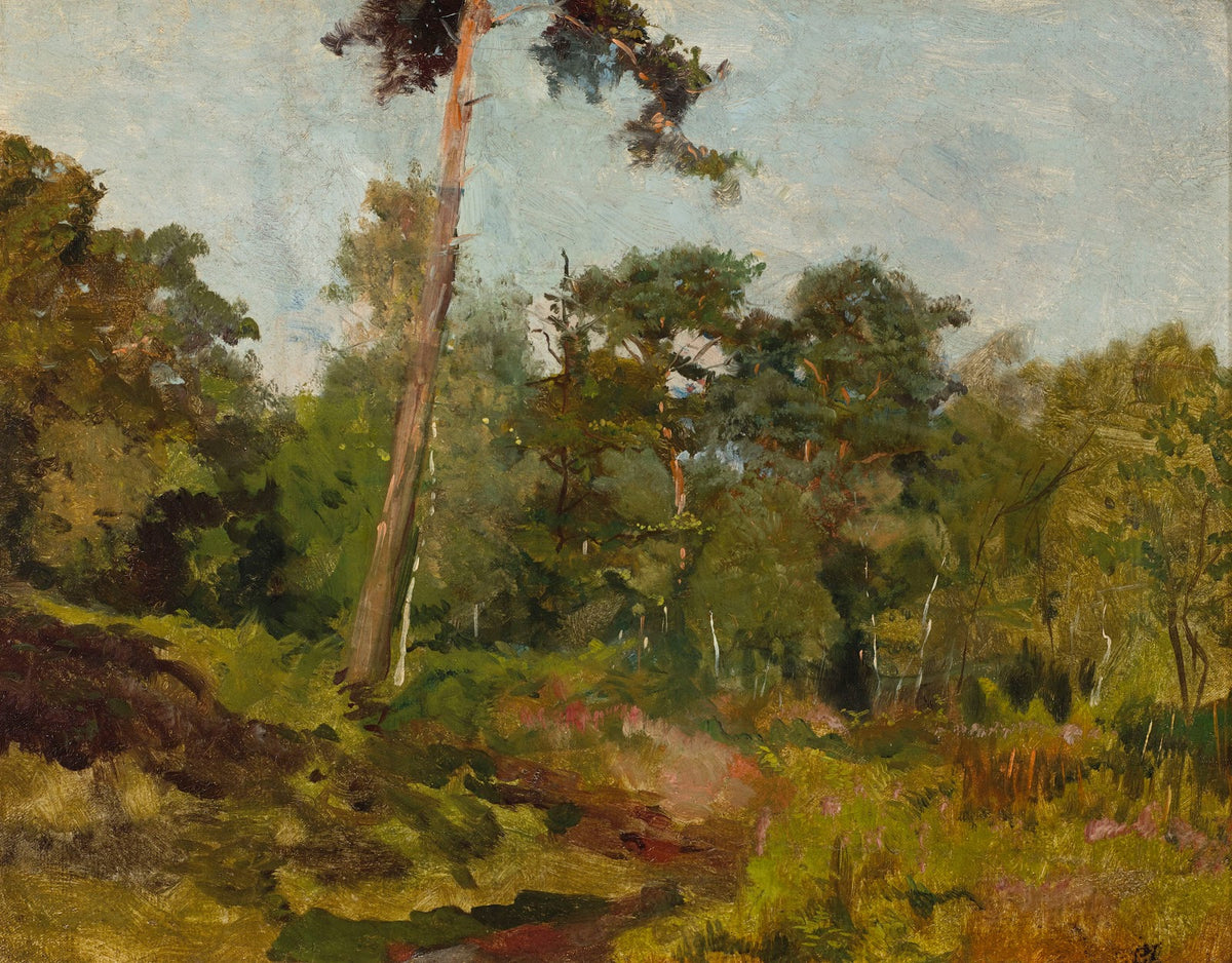 Lasek Buloński 1885 1886