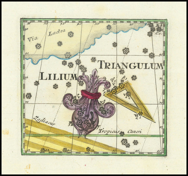 Lilium Triangulum 1730