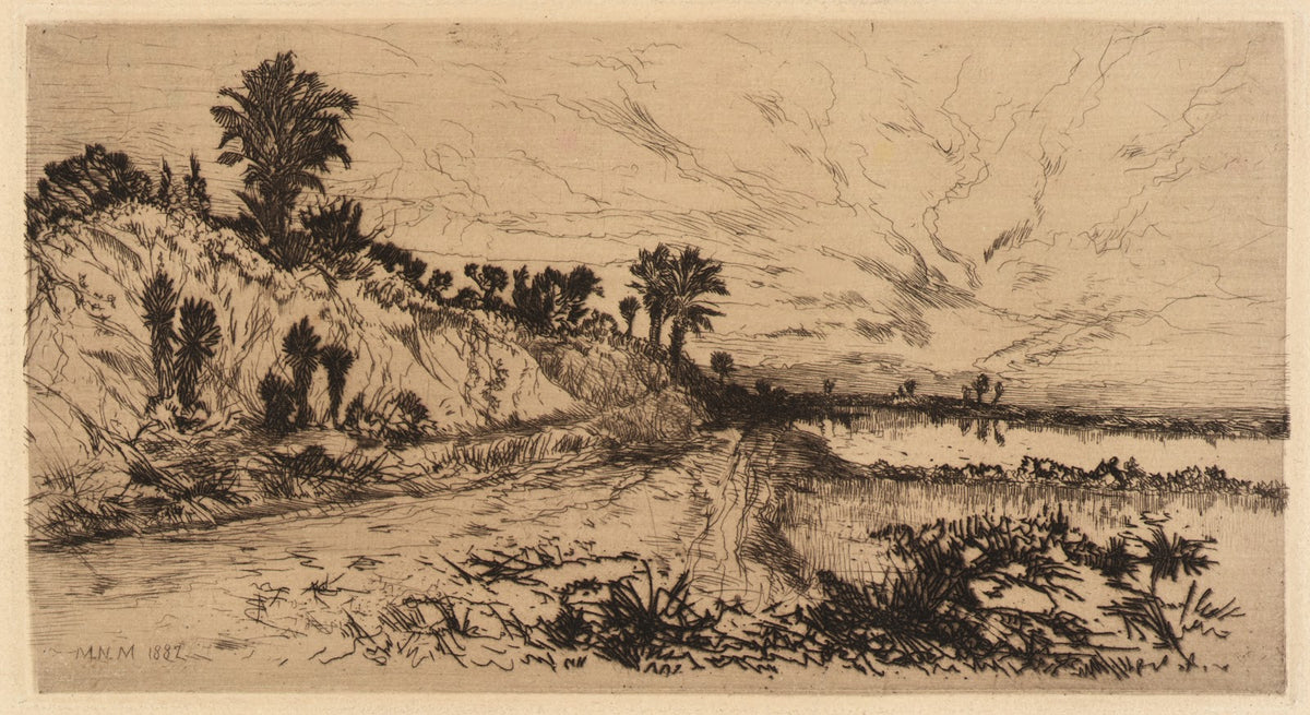 The Coast of Florida 1887