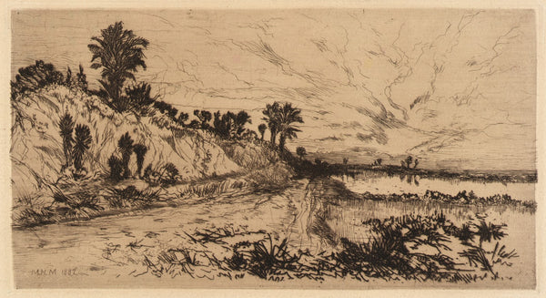 The Coast of Florida 1887