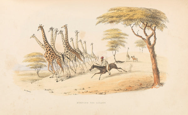The wild sports of Southern Africa 1844