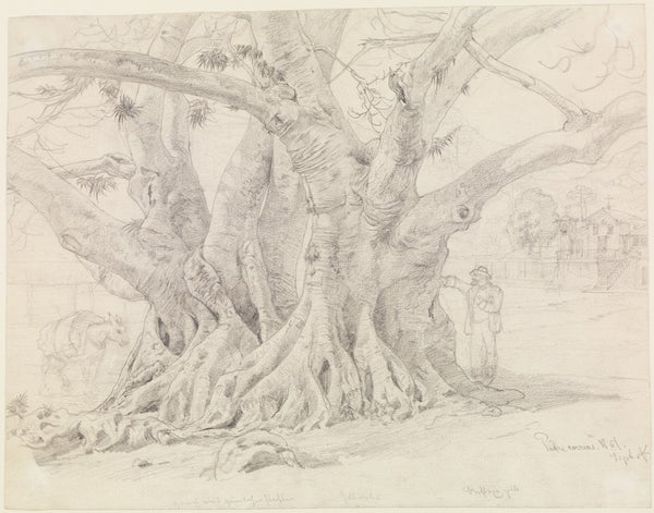 Baumstudie 1861