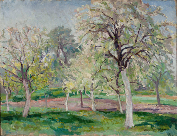 Blossoming orchard
