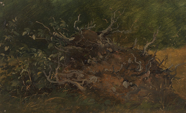 Study of a Tree Stump 1843 1847