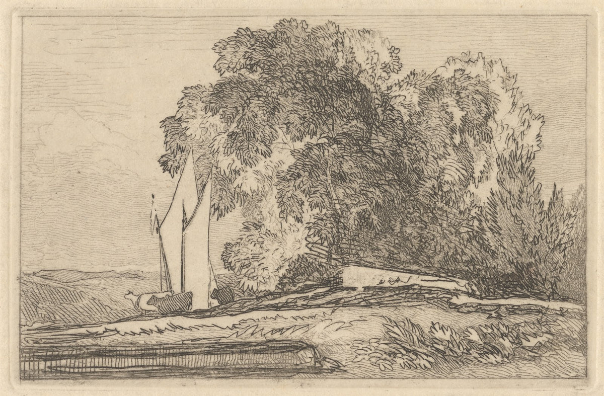 Study of Trees on the Banks of the Yare 1846