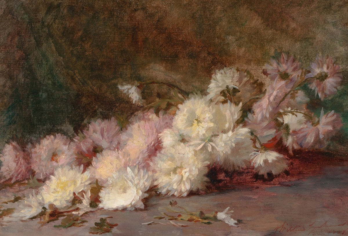 Still Life of Pink and White Chrysanthemums 1888