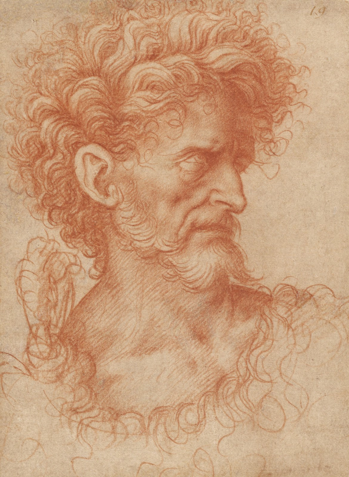 Saint John the Baptist 1500