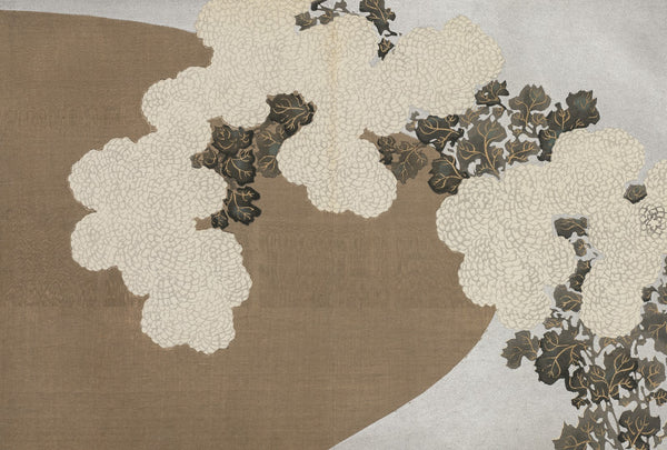 Chrysanthemums Momoyogusa 1909 1910