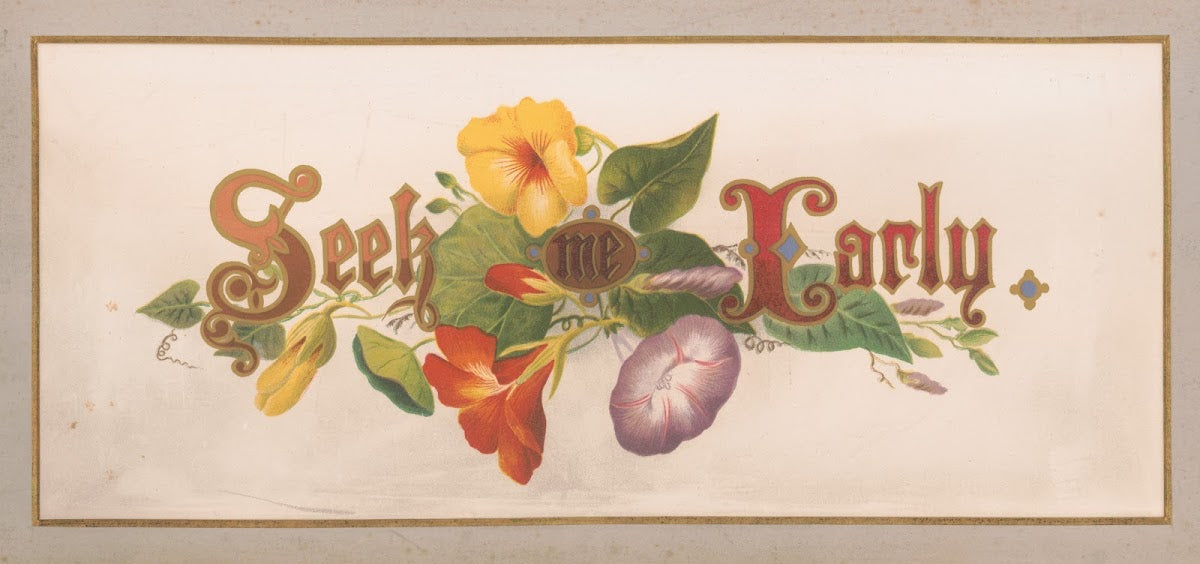 Prangs floral mottoes no 9 Seek me early 1873
