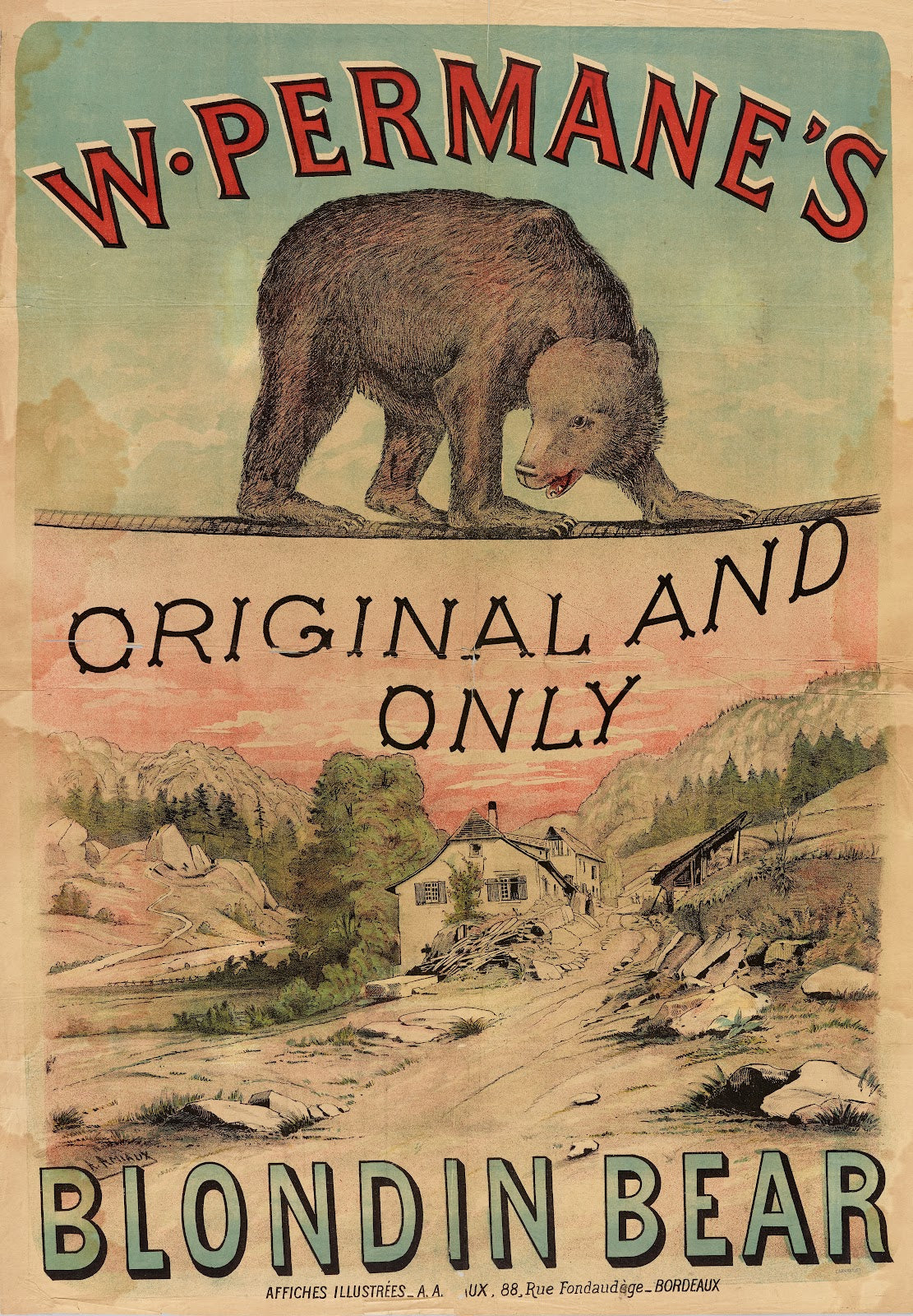 W Permanes Original And Only Blondin Bear 1880 1890