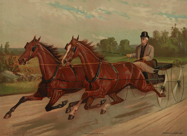 Gentleman in carriage facing left 1883
