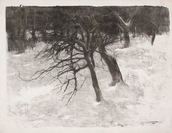 Drzewa w śniegu 1904