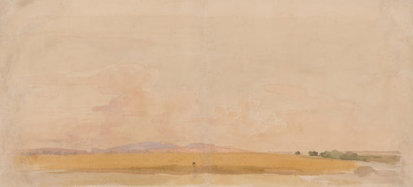 Field