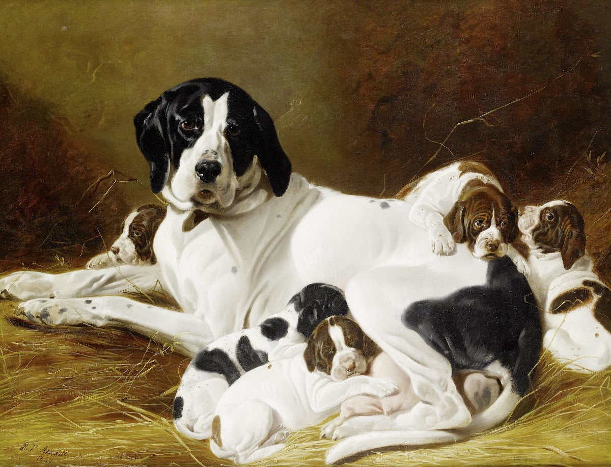 The New Litter