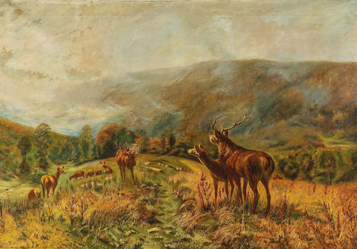 Rotwildrudel