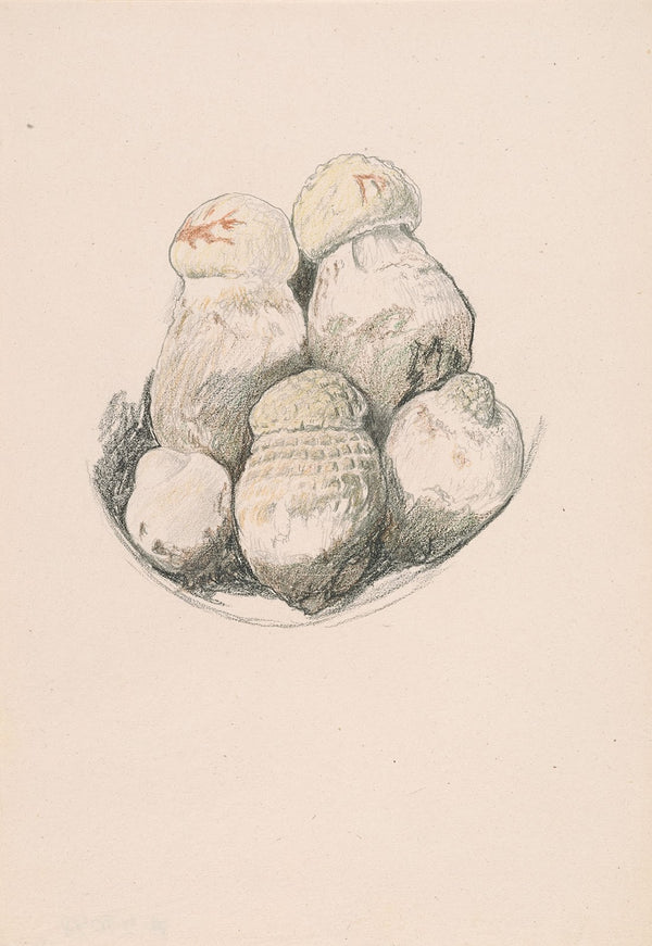 Plate of Mushrooms