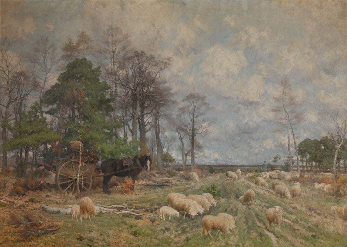 Heathland in Spring
