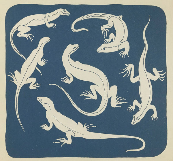 Nouvelles images à colorier Reptiles Pl11 1938