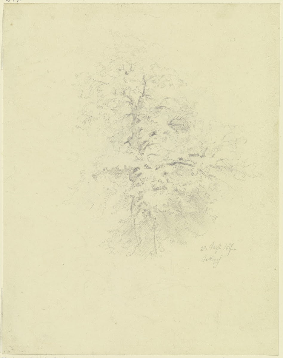 Tree in Seckbach 1847