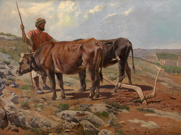 Plough Oxes with Fellah 1877