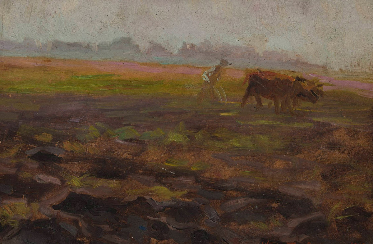 Ploughing oxen 1910