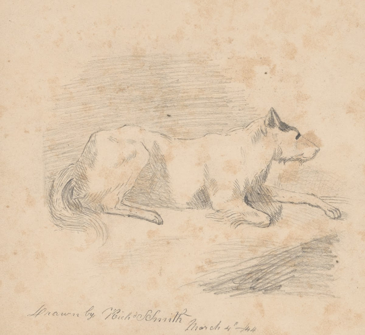 Pencil exercise no 2 lying dog 1844