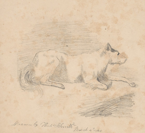 Pencil exercise no 2 lying dog 1844