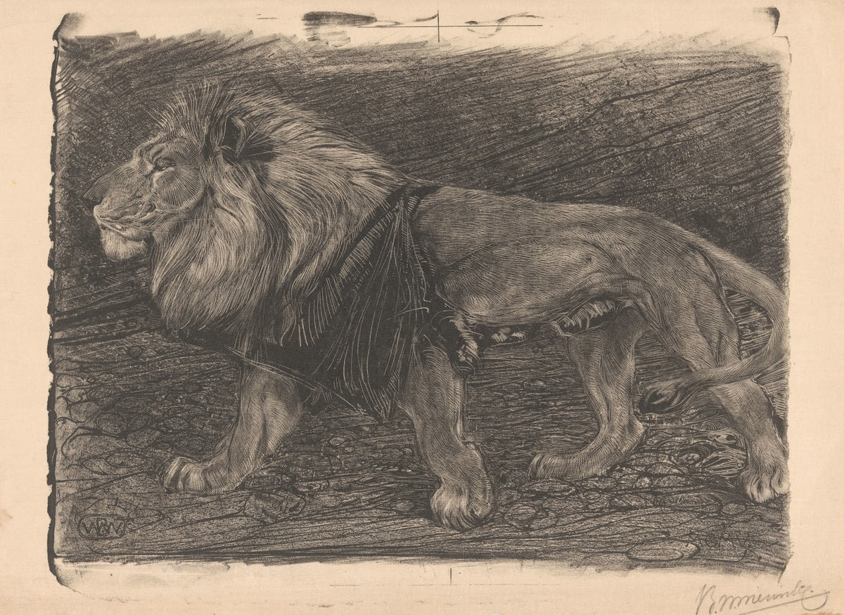 Lopende leeuw 1905