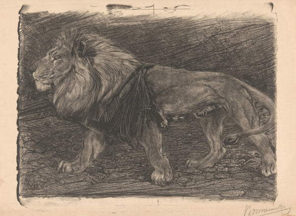 Lopende leeuw 1905