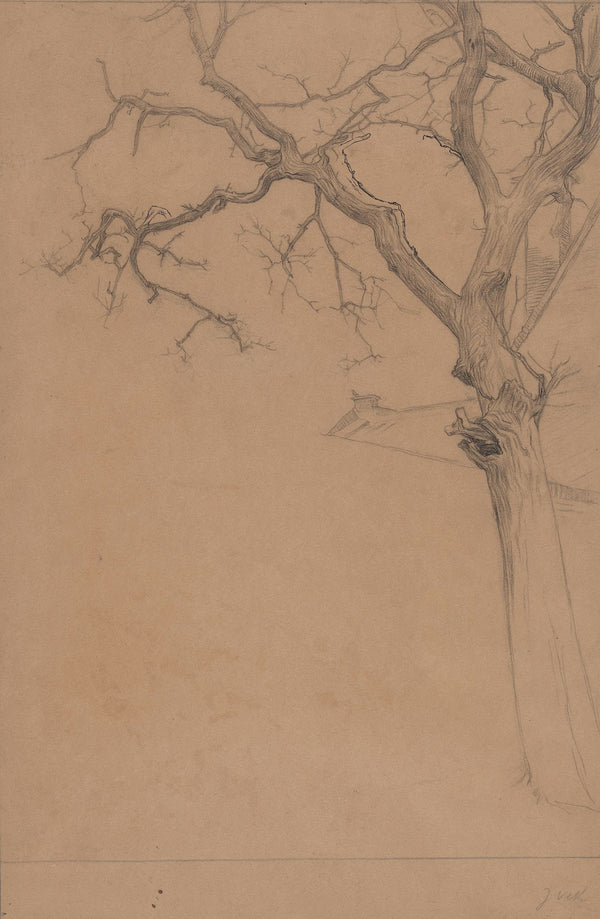 Studie van een kale boom 1874 1925