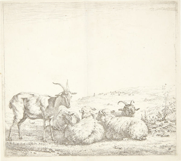 Tre geder og to får 1655