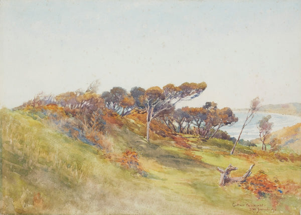 Coast near Paekakariki 1911