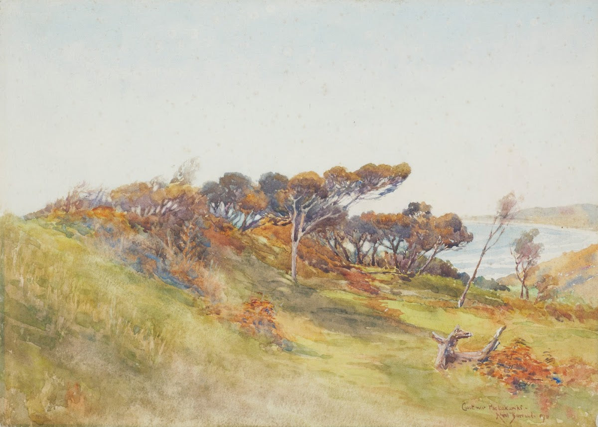 Coast near Paekakariki 1911