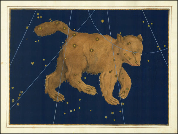 Ursa Major 1624