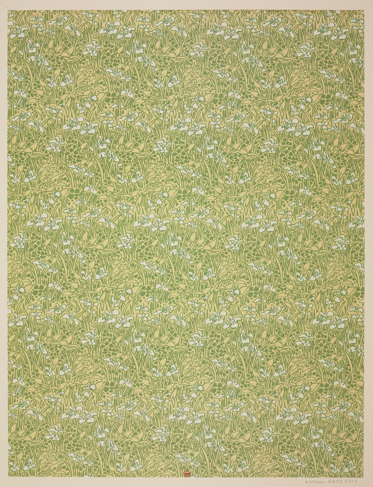 Ensemble de papiers de garde pour Eugène Verneau Pl30 1913 1923