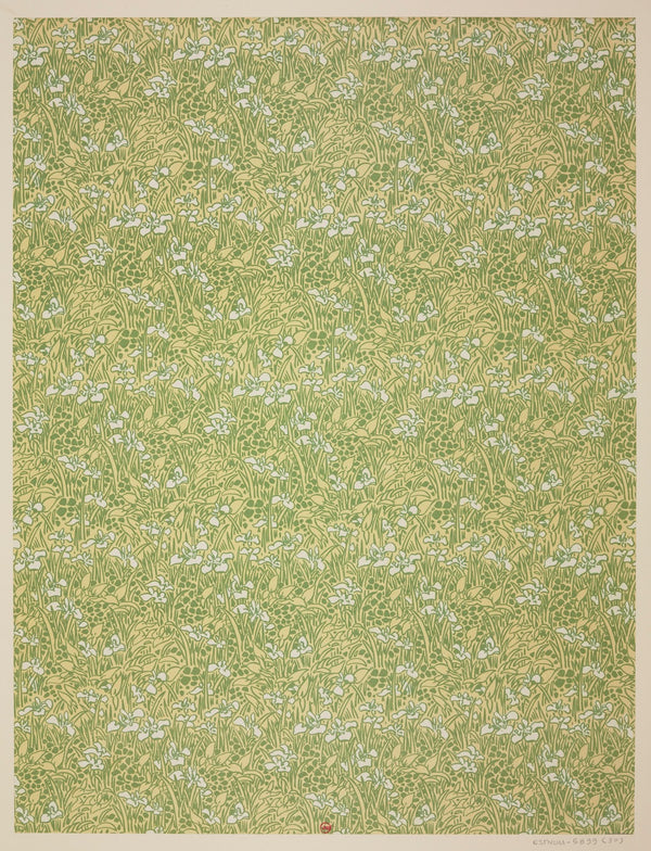 Ensemble de papiers de garde pour Eugène Verneau Pl30 1913 1923