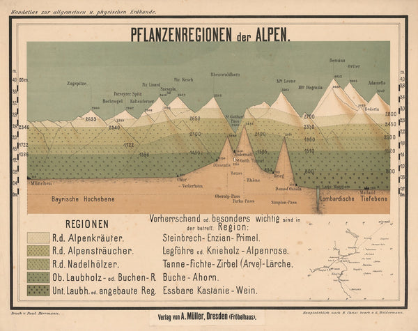 Plant regions of the Alps 1900