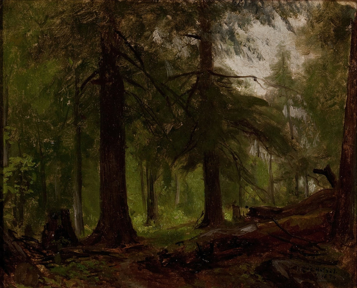 Forest Interior 1876