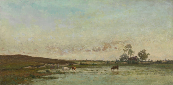 Fen in the Kempen