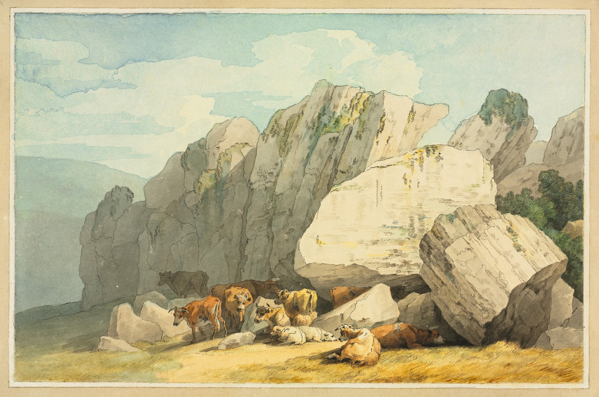Leigh Tor Rocks at Poundsgate near New Bridge on the Dart Devon 1800