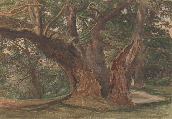Trees in a Landscape ca 1842 1880