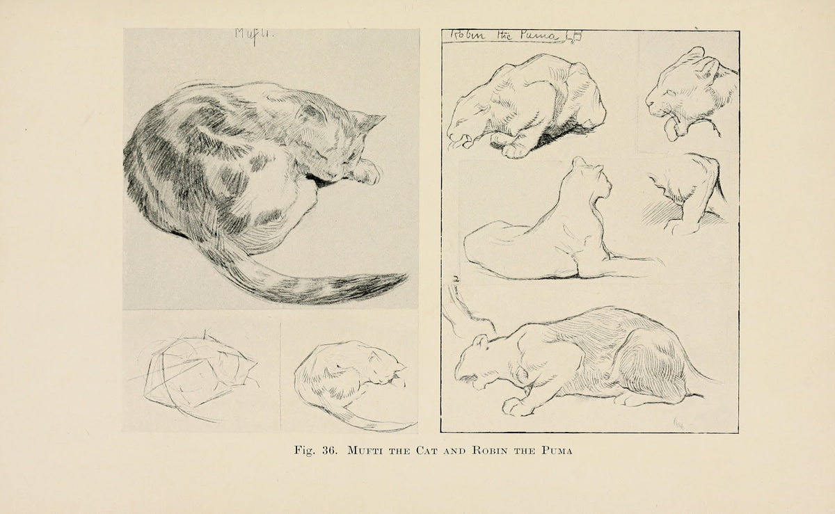 Drawing for beginners Pl16 1920s