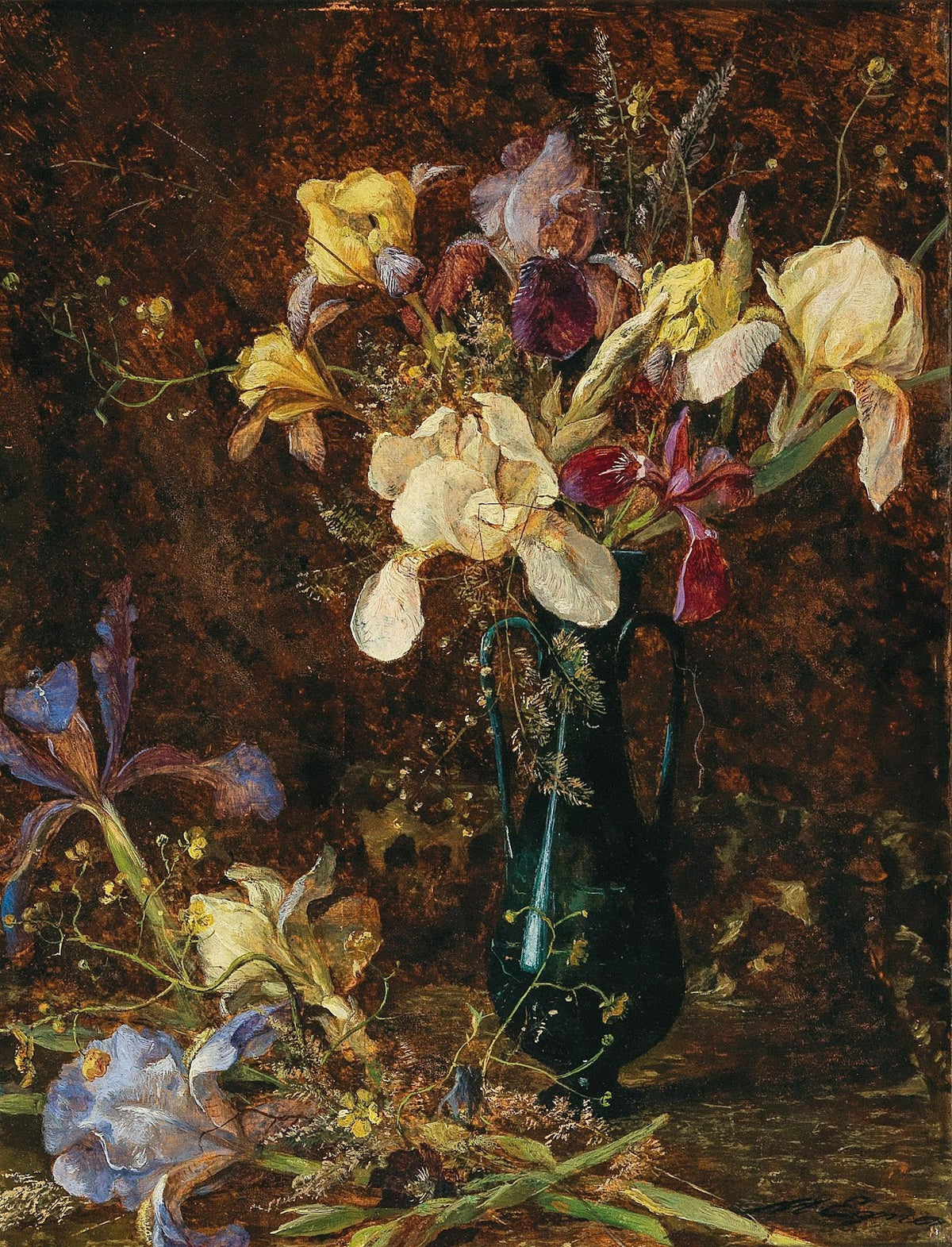 Iris
