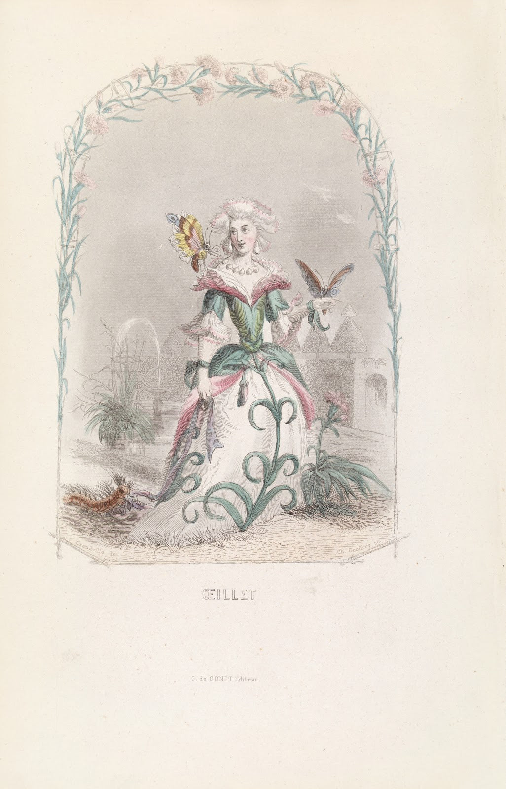Œillet 1840s