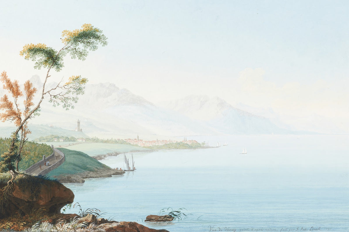 Vue de Vevay